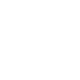 Chimney Safety Institute of America Certified Chimney Sweep